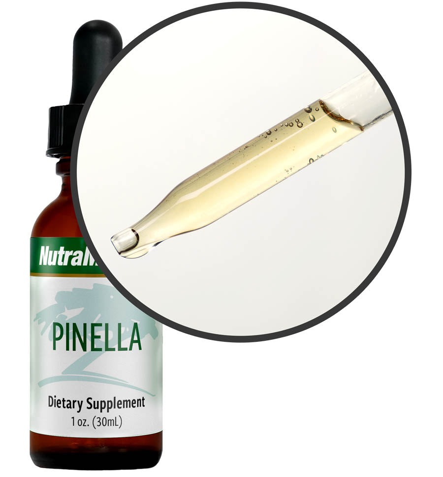 Pinella NutraMedix Tropfpipette – Hochdosierter Pflanzenextrakt für Ihre tägliche Routine