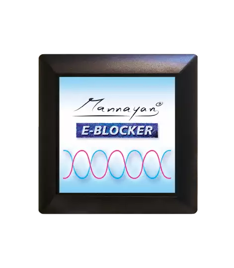 E-Blocker HOME "Unlimited" (inkl. Life-Time-Upgrade)