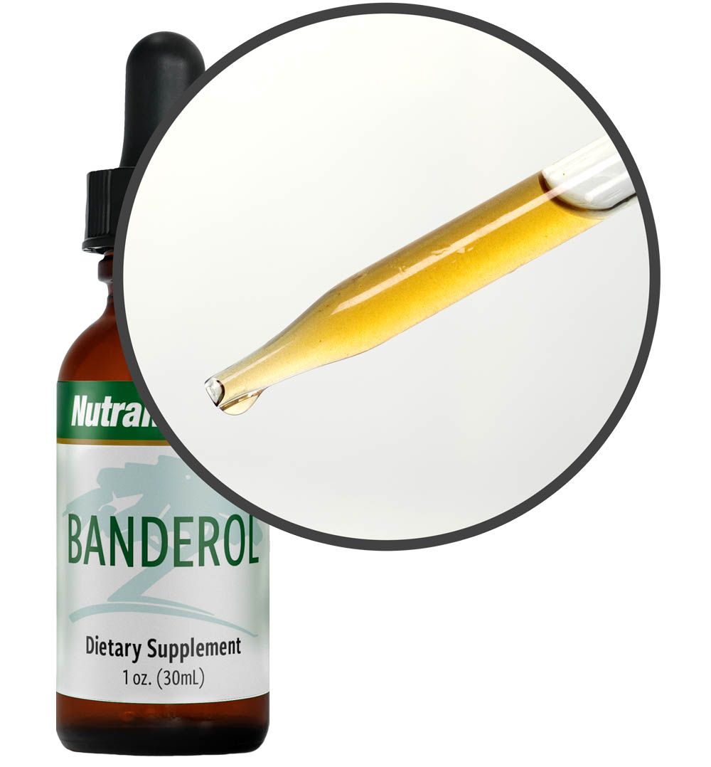 NutraMedix Banderol – Natürlicher Pflanzenextrakt Tropfen 30ml, Detailansicht Pipette