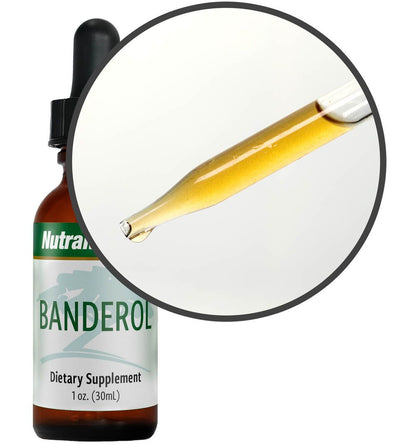 NutraMedix Banderol – Natürlicher Pflanzenextrakt Tropfen 30ml, Detailansicht Pipette