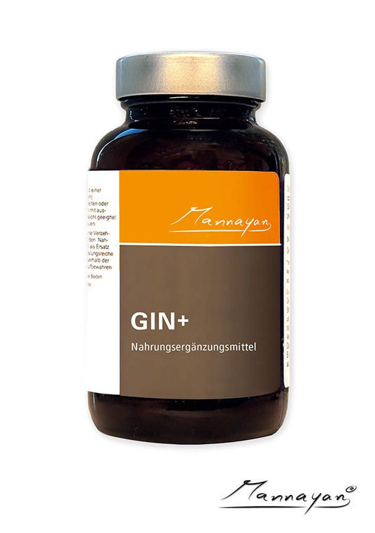 Mannayan GIN+ Nahrungsergänzungsmittel – braune Glasdose mit silbernem Deckel und orangem Mannayan-Etikett, 60 Kapseln Sibirischer Ginseng (Taigawurzel)
Premium Produkt
