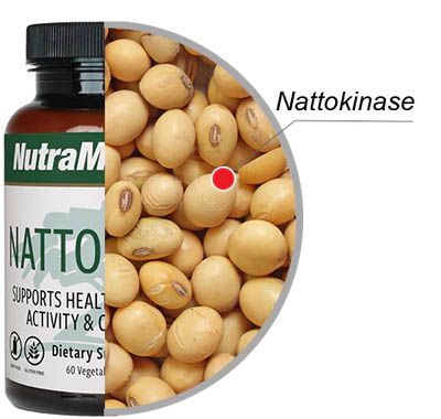 Nattokinase 60 Kapseln von NutraMedix Ltd