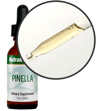 Pinella NutraMedix Tropfpipette – Hochdosierter Pflanzenextrakt für Ihre tägliche Routine